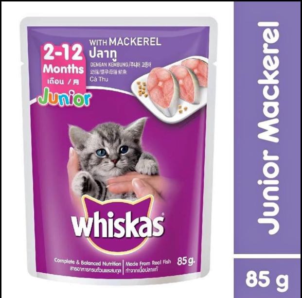 Whiskas Junior Wet Food 85g Pets Supplies Pet Food On Carousell