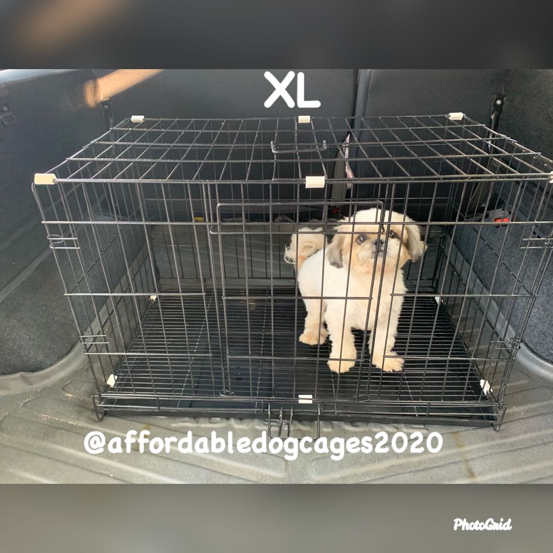 Collapsible dog cage sizes clearance