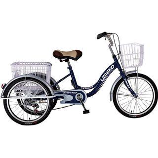 3 Wheel Bike View All 3 Wheel Bike Ads In Carousell Philippines