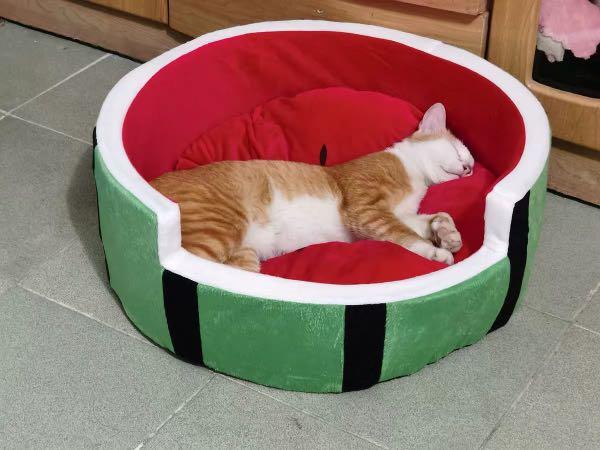Watermelon 2025 cat bed