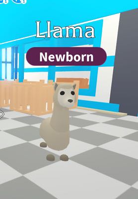 Adopt Me Liama Toys Games Video Gaming In Game Products On Carousell - roblox llama adopt me