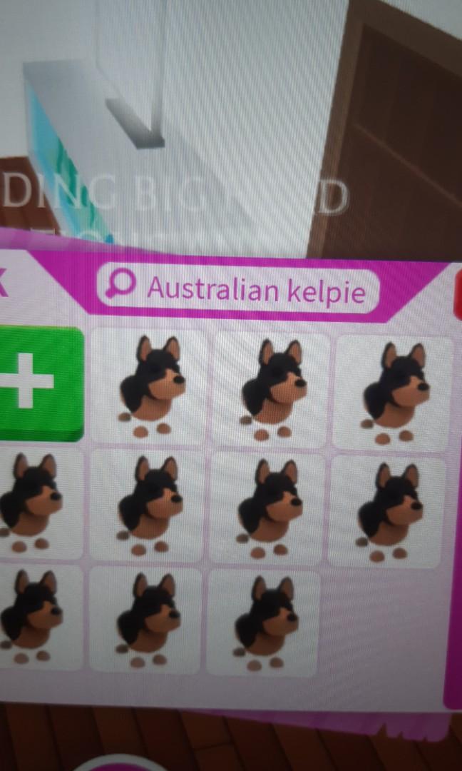 Adopt Me Australian Kelpie X10 Bundle Toys Games Video Gaming Video Games On Carousell
