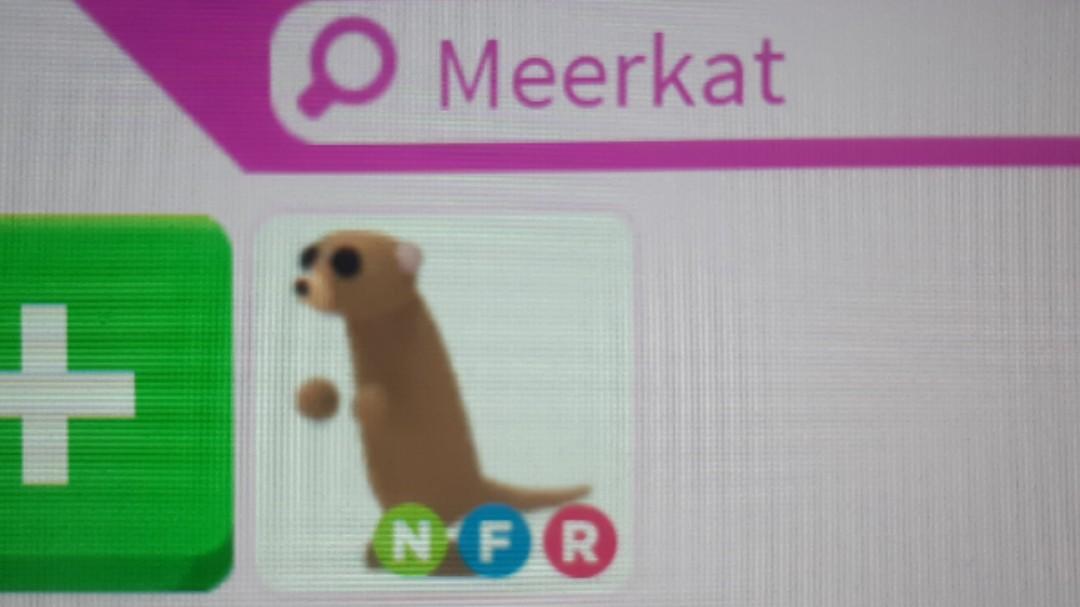 Adopt Me Neon Fly Ride Meerkat Toys Games Video Gaming Video Games On Carousell If you like adopt me meerkat, try these related items. adopt me neon fly ride meerkat