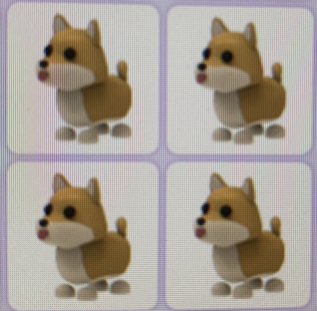 Adopt Me Shiba Inu Toys Games Video Gaming In Game Products On Carousell - shiba inu de adopt me roblox