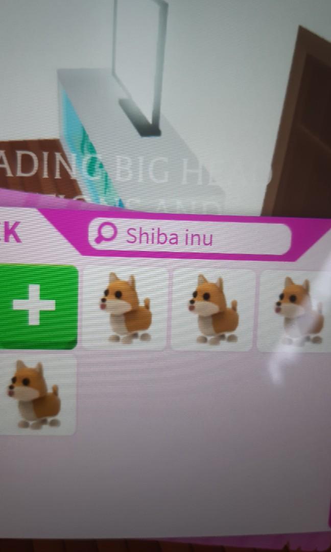 Adopt Me Shiba Inu Bundle Toys Games Video Gaming Video Games On Carousell - shiba inu de adopt me roblox