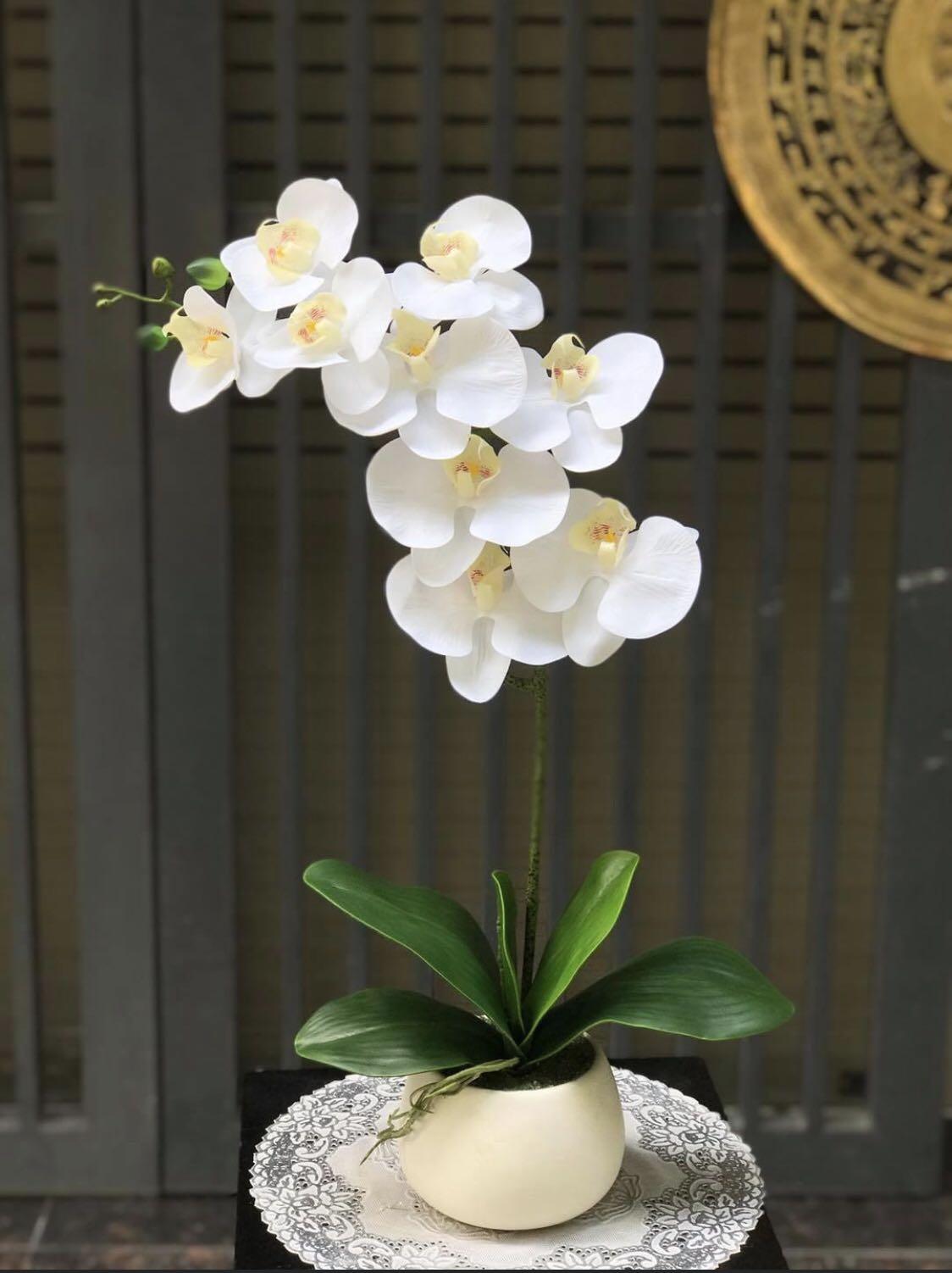 Artificial orchid comes with porcelain pot., Furniture & Home ...