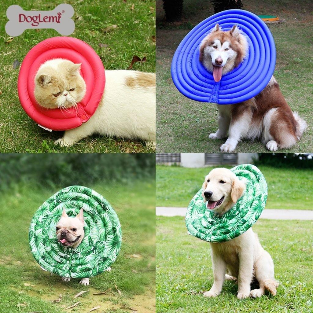 Dog cone cushion clearance