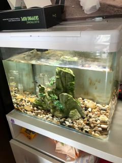 （分類：）位於 。 由 ericryee 提交（商品編號 1015834168，圖片 1）。簡介： 。