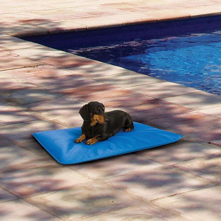 HOT K H Pet Products Cool Bed III Cooling Dog Bed Pet Supplies Homes Other Pet Accessories on Carousell