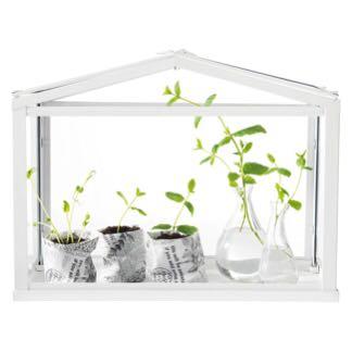 Mini Greenhouse Gardening Gardening Tools Ornaments On Carousell