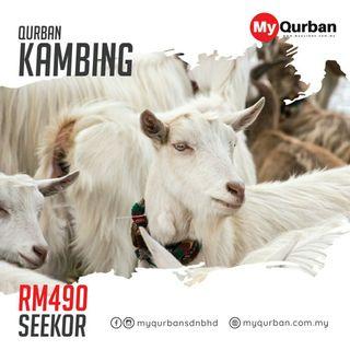 Lembu Korban Everything Else Carousell Malaysia