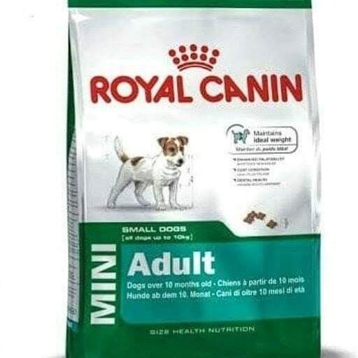 Royal Canin Mini Adult Pets Supplies Pet Food On Carousell