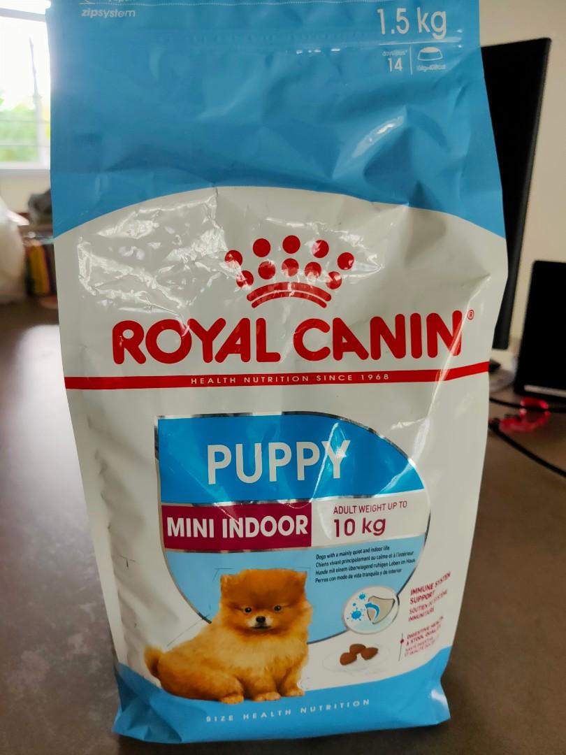 royal canin puppy mini indoor