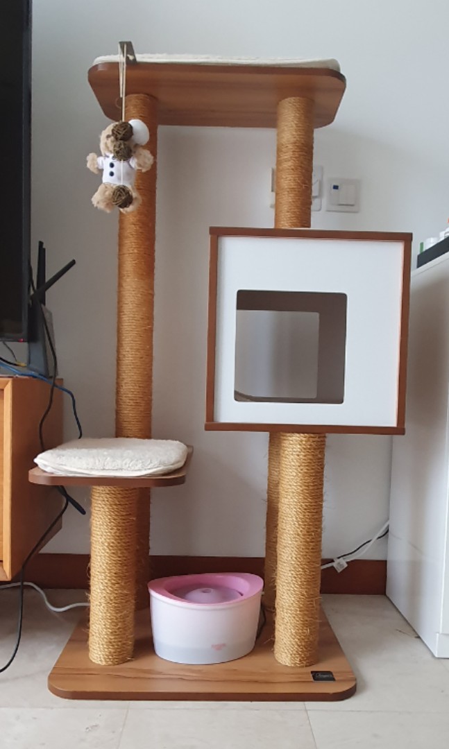 Vesper cat best sale condo