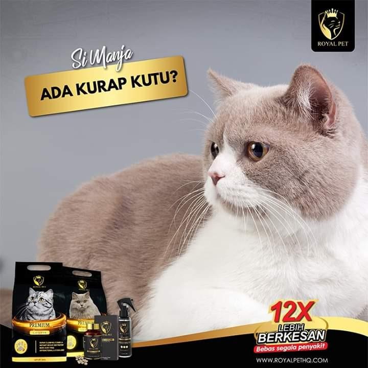 Vitamin Kucing Pet Supplies Pet Food On Carousell