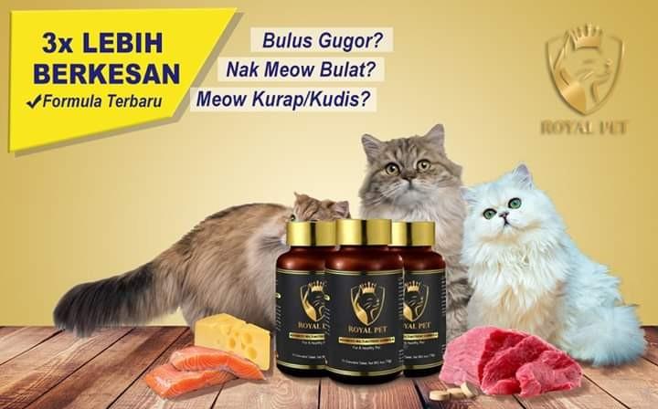 Vitamin Kucing Pet Supplies Pet Food On Carousell