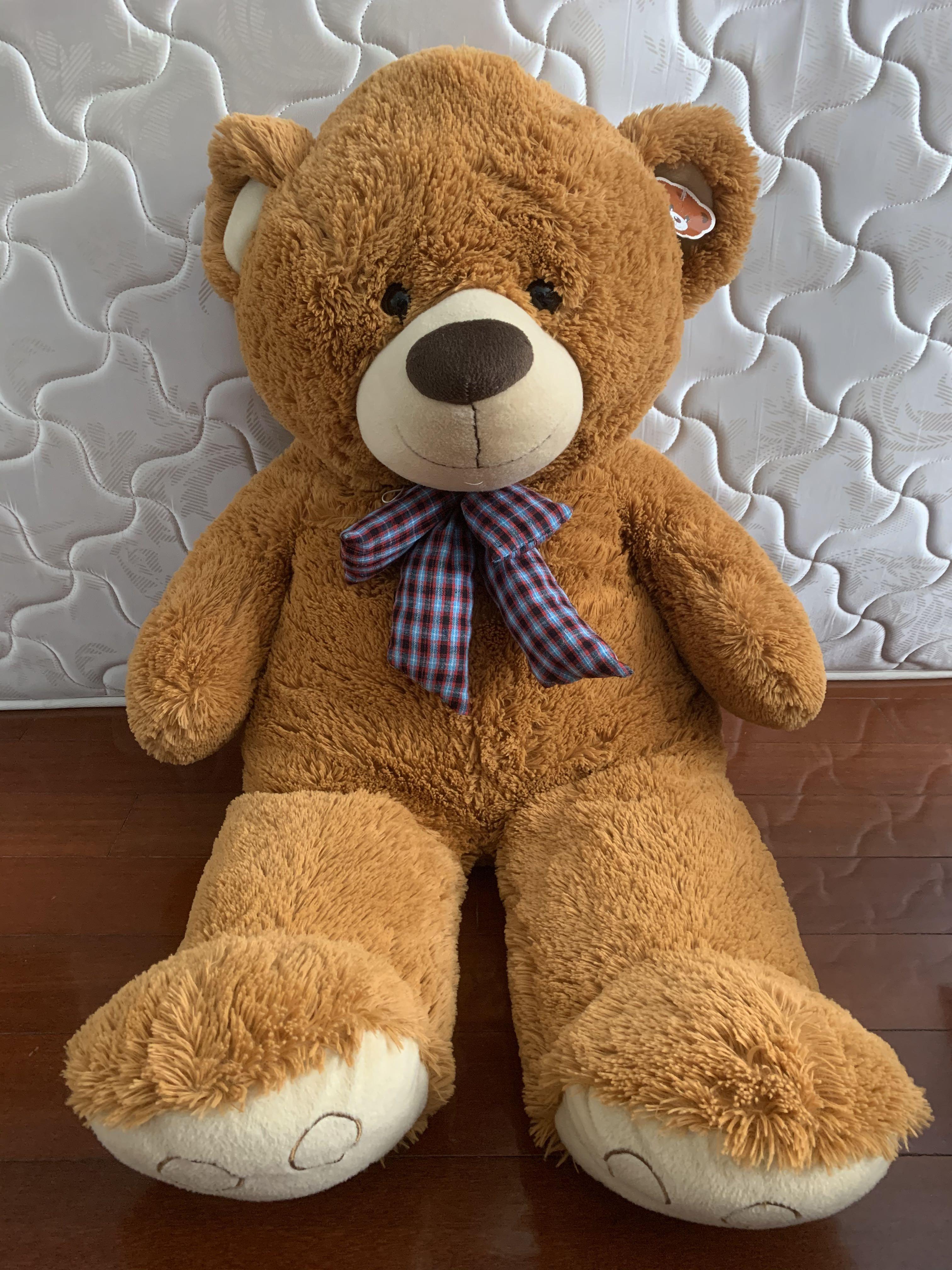 2 metre teddy bear