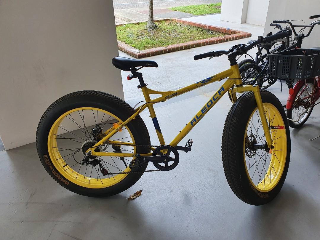 Aleoca fat bike sale price