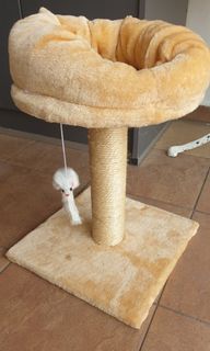 (Category: ) located in . Submitted by aminah33 (Listing ID 1015995361, Image 1). Description: .