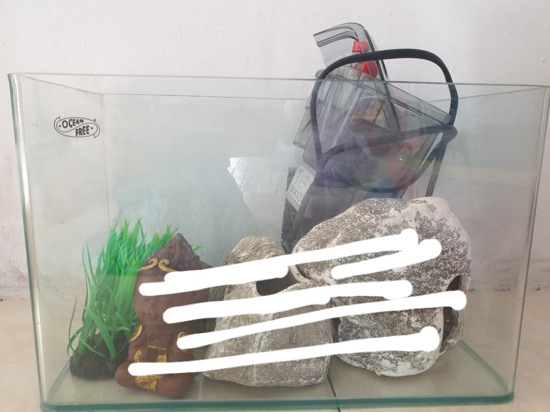 Fish Tank Set with gravel, Pet Supplies, Homes & Other Pet Accessories on Carousell