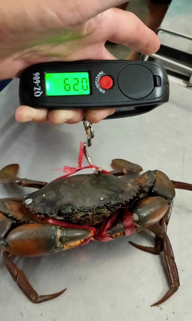 Live MUD Crab Sales Wholesale 350g Crab 3 Pieces 26 ONLY sirloin-steak-with-chips-and-b-arnaise-sauce-james-martin-chef