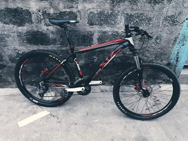 xix mtb price