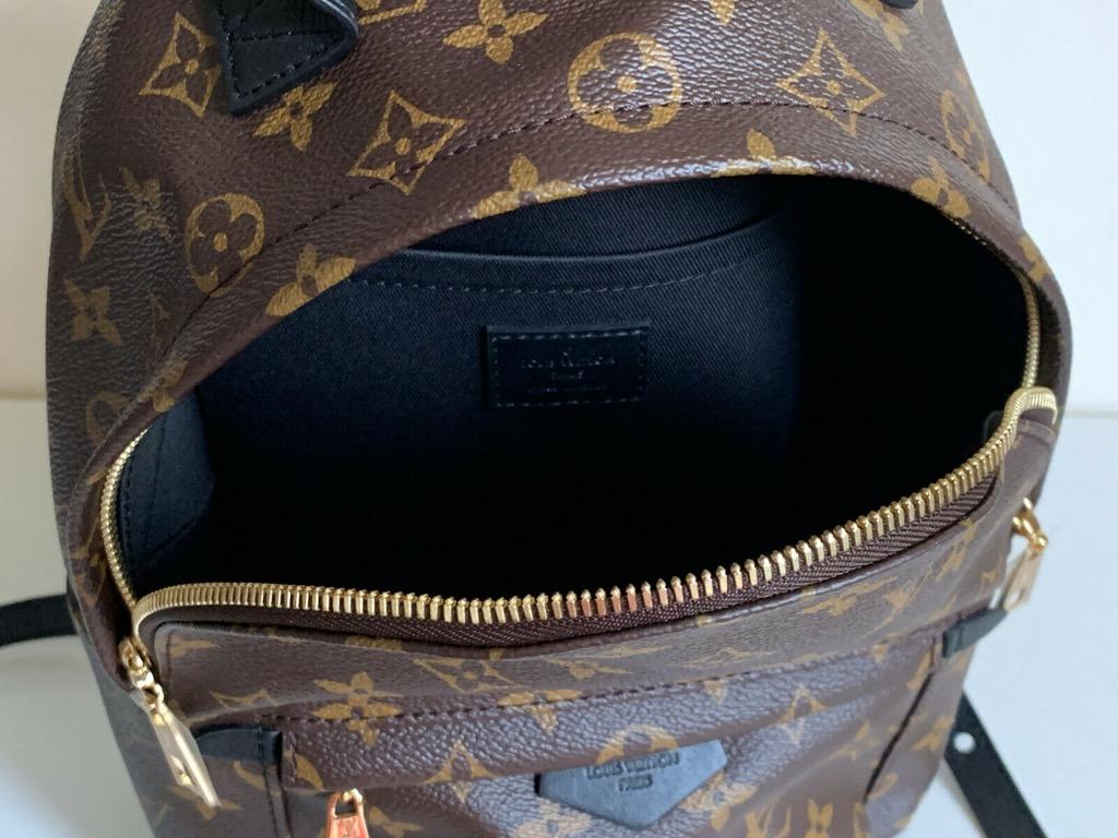 Louis Vuitton Palm Springs Backpack Size PM Noir M41560 Monogram
