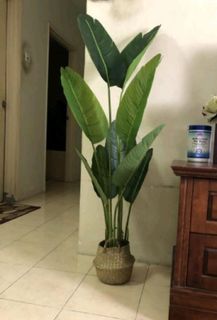 (Category: ) located in . Submitted by nadiaaimi (Listing ID 1016061273, Image 1). Description: .