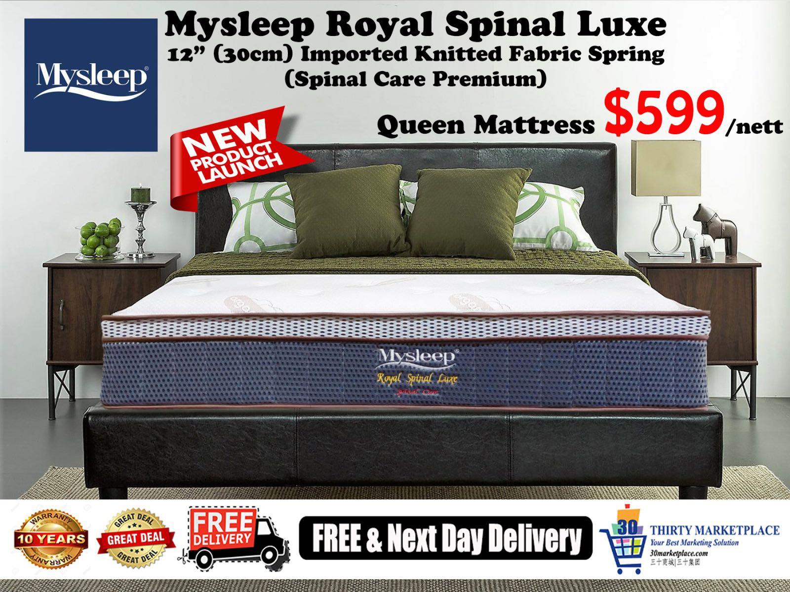 Premium Queen Spinal Care Mattress Promotion Furniture Beds