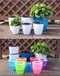 (Category: ) located in . Submitted by hdbgardener (Listing ID 1016163655, Image 1). Description: .