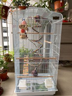 (Category: ) located in . Submitted by acidica (Listing ID 1015614137, Image 1). Description: .