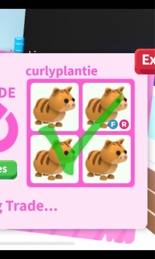 4 Ginger Cat Bundle Roblox Adopt Me Video Gaming Gaming Accessories Game Gift Cards Accounts On Carousell - roblox adopt me pets ginger cat