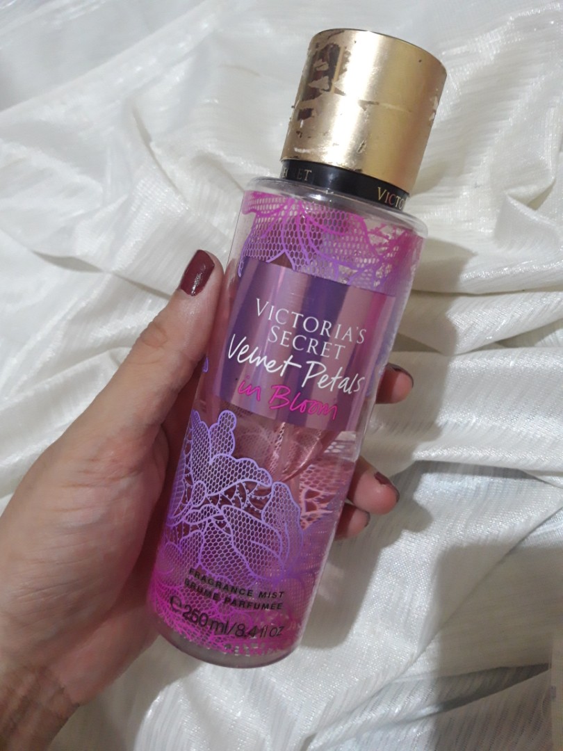 Velvet petals in best sale bloom victoria secret