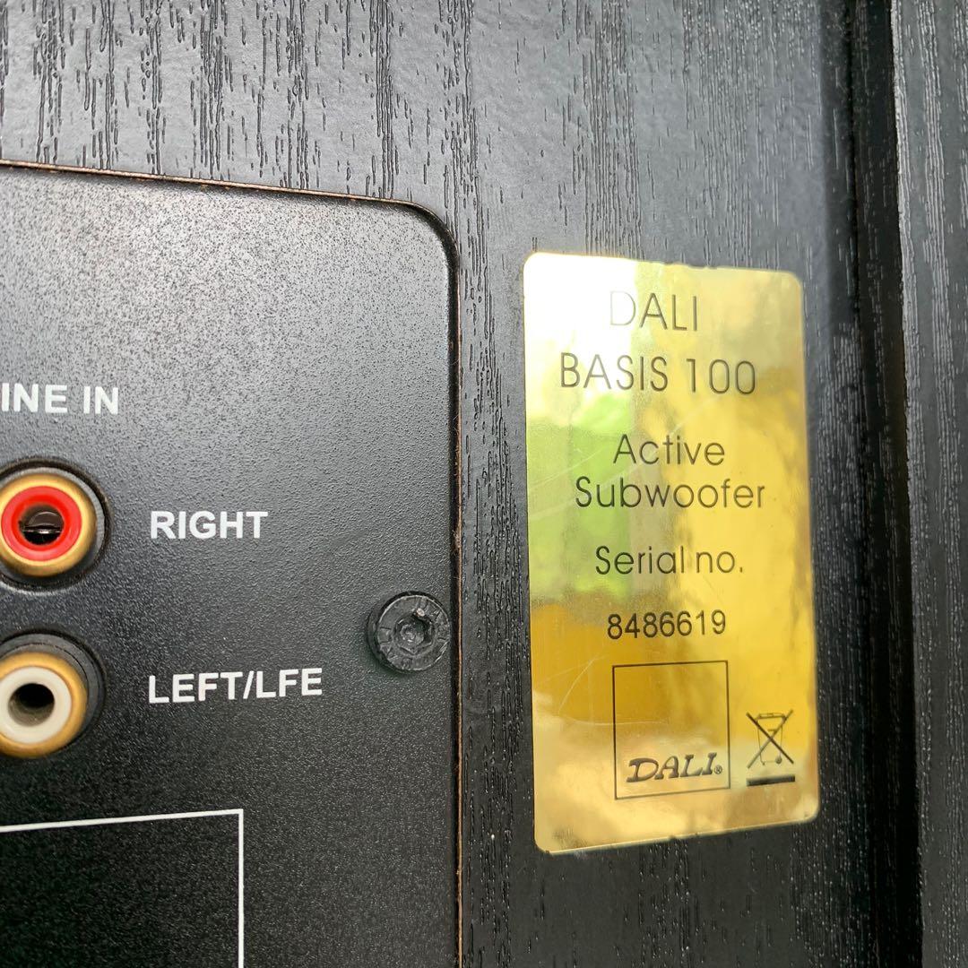 Dali Basis 100 Active Subwoofer, Audio, Soundbars, Speakers