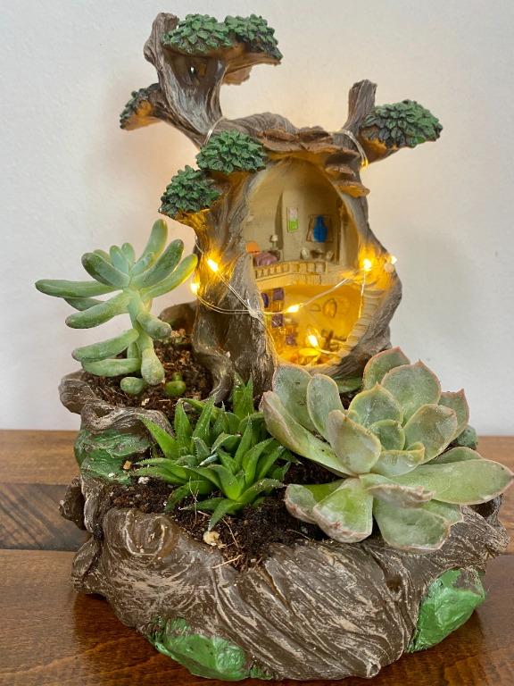 Succulents Fairy Garden Tree House Gardening Plants On Carousell