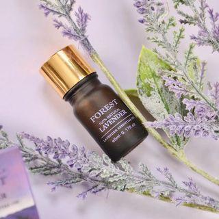 Forest Lavender Essential Oil
