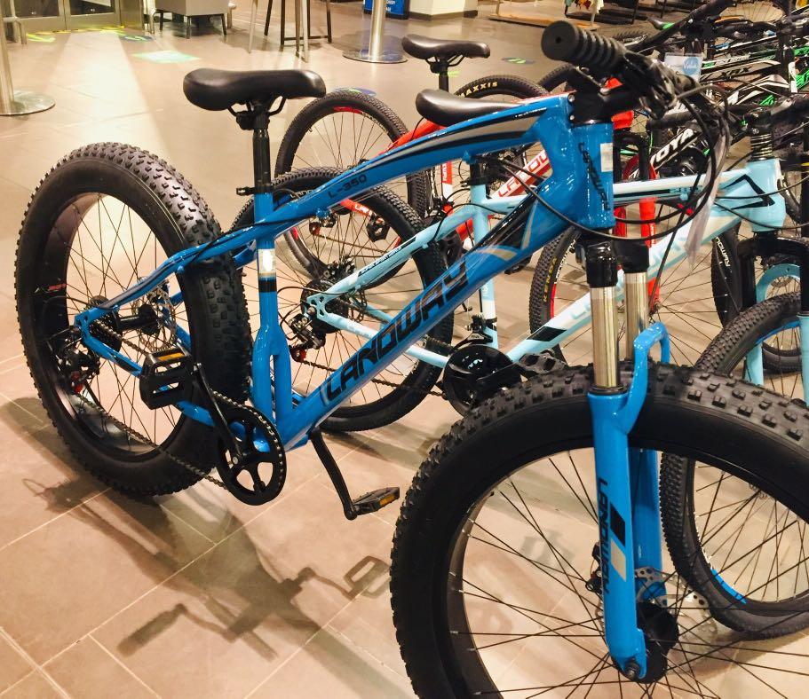 sky rider fat bike