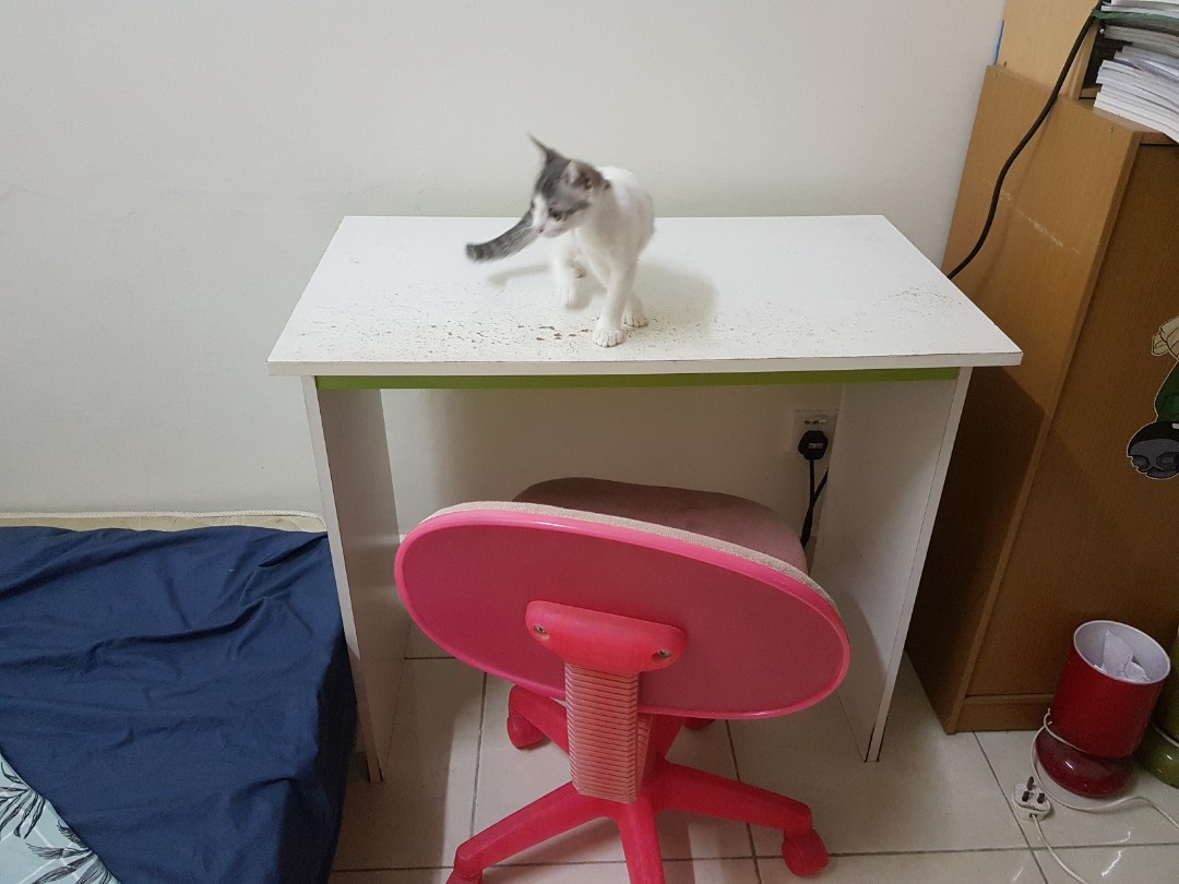 Small hotsell typist chair