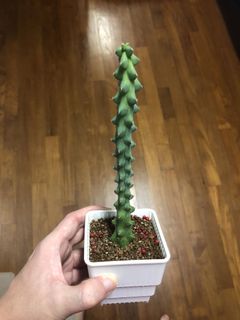 (Category: ) located in . Submitted by weijieeee (Listing ID 1016317595, Image 1). Description: .