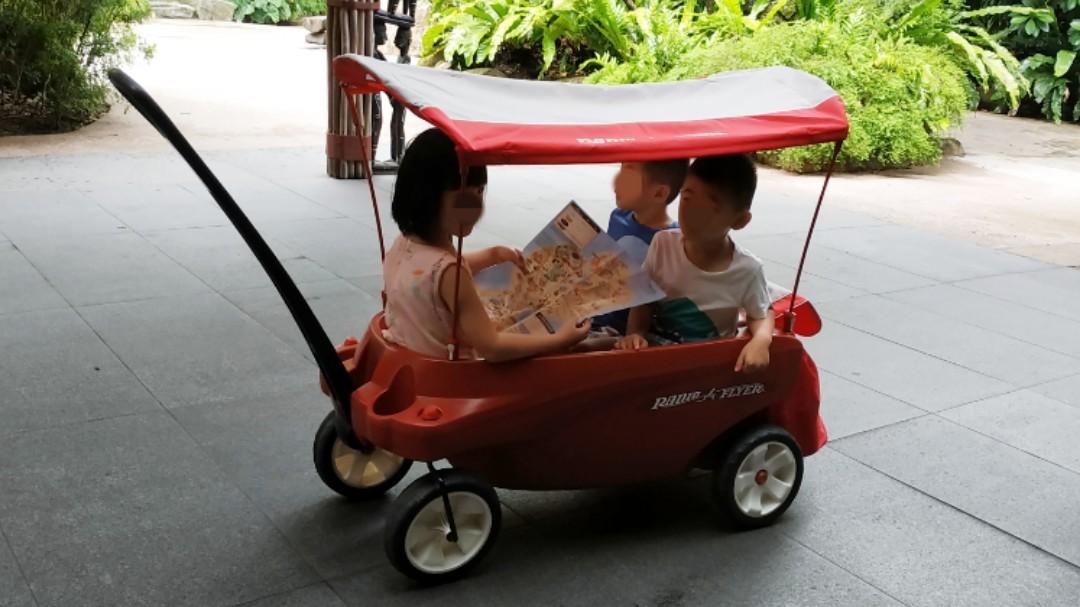 Triple play radio flyer wagon discount