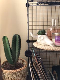 (Category: ) located in . Submitted by trixieramos (Listing ID 1016407644, Image 1). Description: .