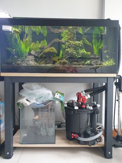 (Category: ) located in . Submitted by m.2three (Listing ID 1016458260, Image 1). Description: .
