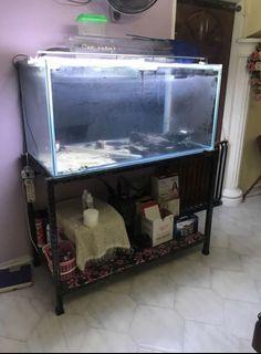 4 feet fish tank