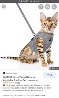 (Category: ) located in . Submitted by spammama (Listing ID 1016598259, Image 1). Description: .