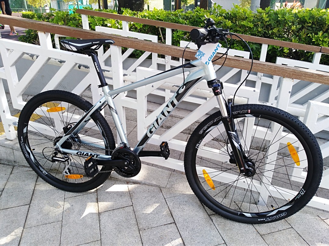 Giant rincon disc 2020 hot sale