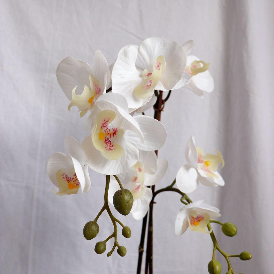 IKEA Artificial Orchid Plant, Furniture, Home Decor, Others on Carousell