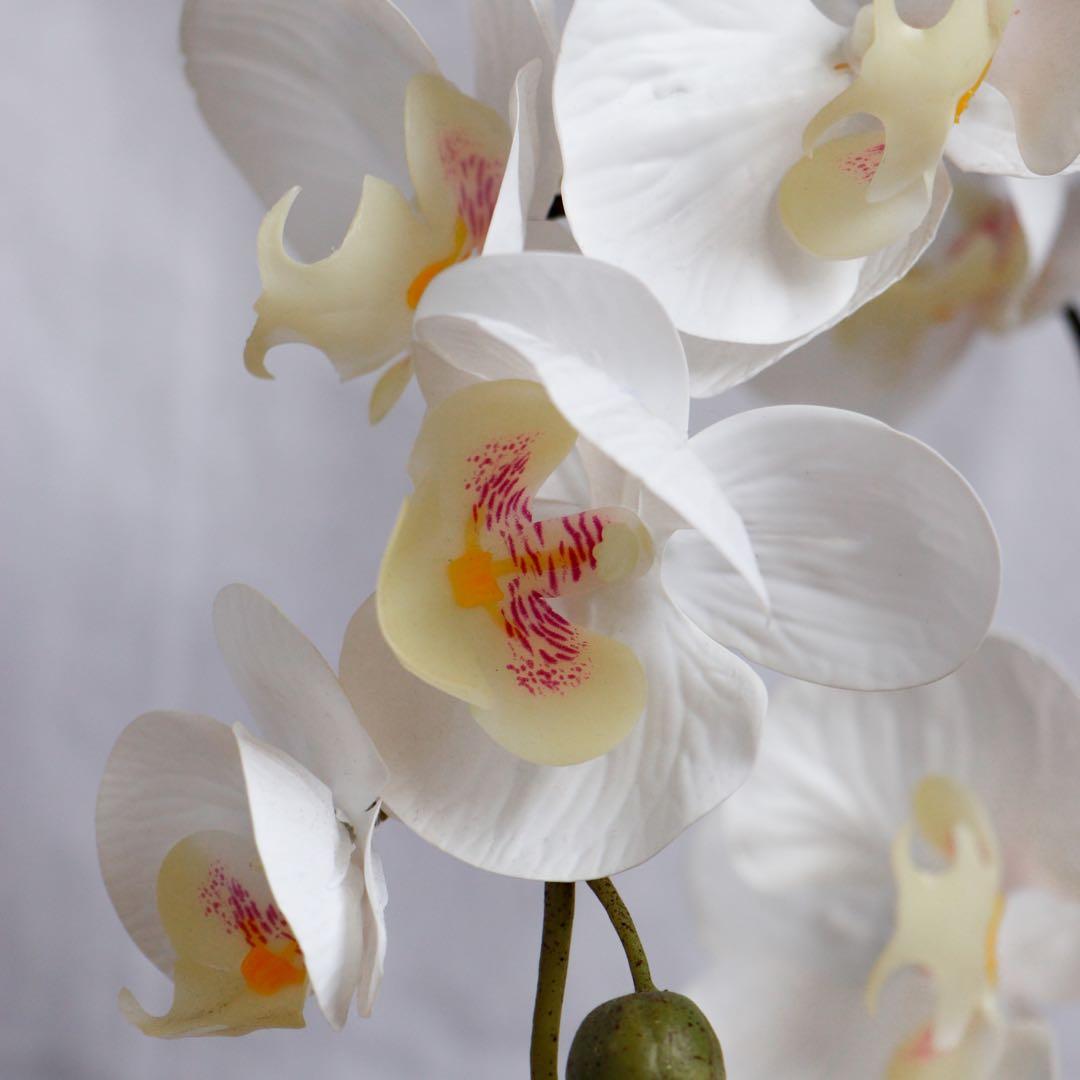 IKEA Artificial Orchid Plant, Furniture, Home Decor, Others on Carousell