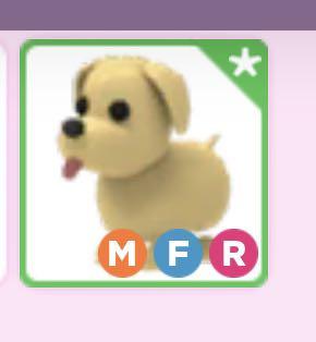 Mega Fly Ride Dog Roblox Adopt Me Pets Toys Games Video Gaming In Game Products On Carousell - doge icon roblox