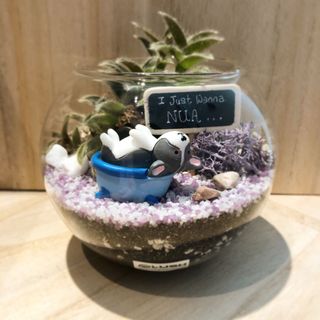 (Category: ) located in . Submitted by lushglassdoor (Listing ID 1016594397, Image 1). Description: .