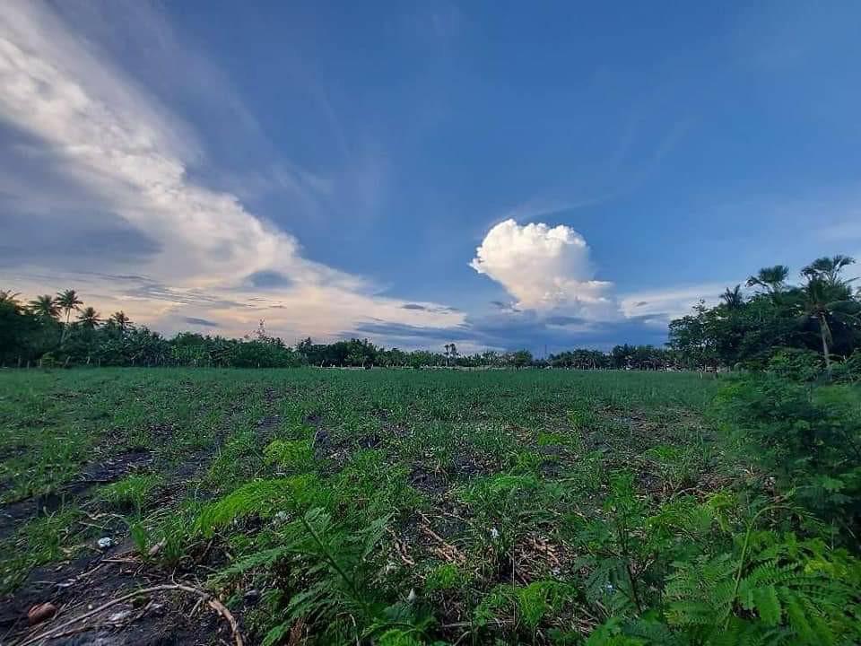 Rush!, Property, For Sale, Lot on Carousell